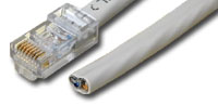 Image of 25 ft. T1 RJ45 Male to Blunt