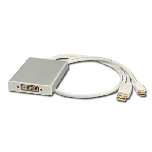 Image of Mini DisplayPort & Display Port to DVI-D