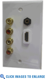 HDMI+ 4 RCA (Red,White), 3.5mm Wallplate